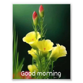 beautiful flowe photo print
