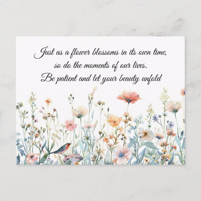 Beautiful Flower Bloom  Postcard (Front)