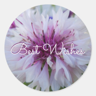 Beautiful flower. Classic Round Sticker