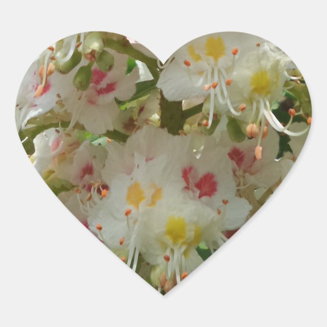 Beautiful Flower Heart Sticker (Front)