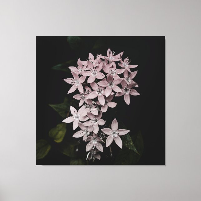 Beautiful flower image on canvas print (Front)