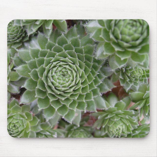 Beautiful Flower Mouse Mat (Front)