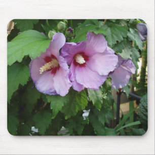 Beautiful Flower Mouse Mat