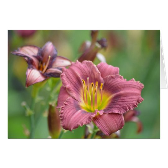 Beautiful Flower Notecard