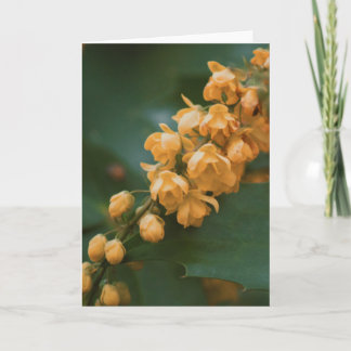 Beautiful flower photography blank card