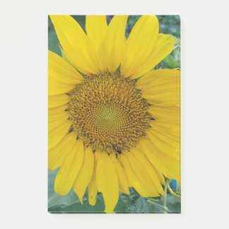 Beautiful Flower Post-it Notes
