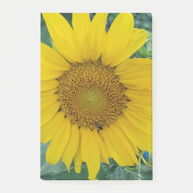 Beautiful Flower Post-it Notes (Front)