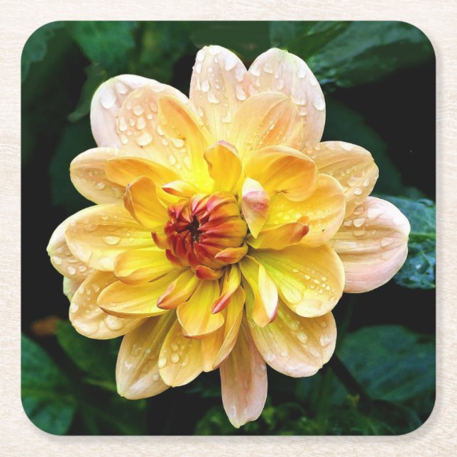 Beautiful Flower Square Paper Coaster (Front)
