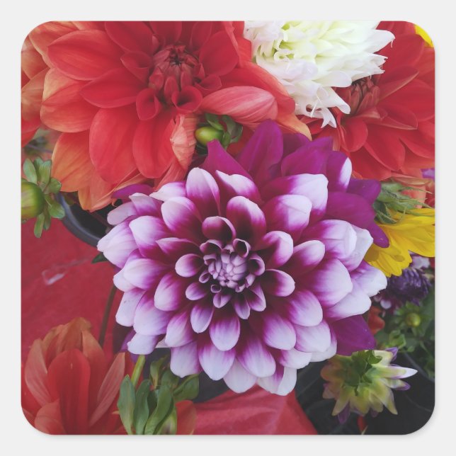 Beautiful Flower Sticker Set (Front)