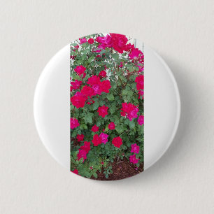 Beautiful Flowers 6 Cm Round Badge