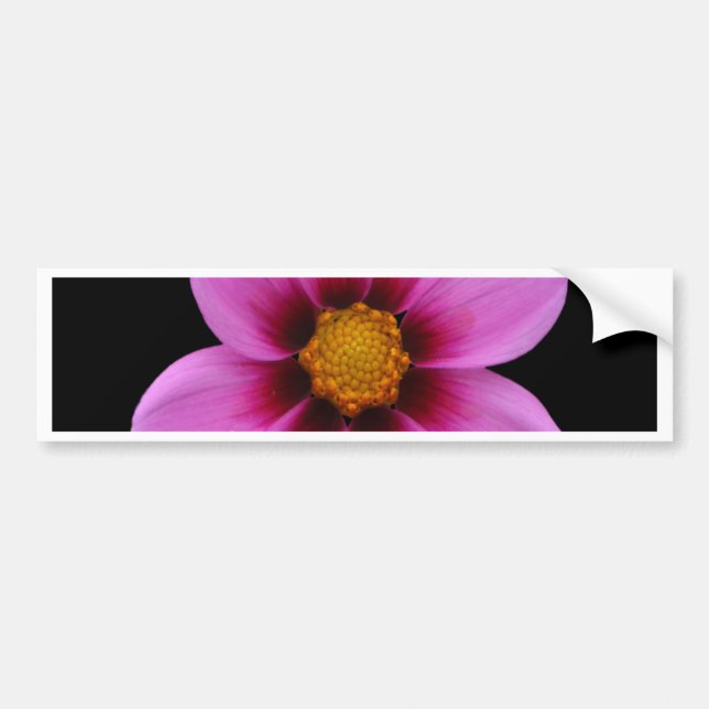 Beautiful flowers bumper sticker (Front)