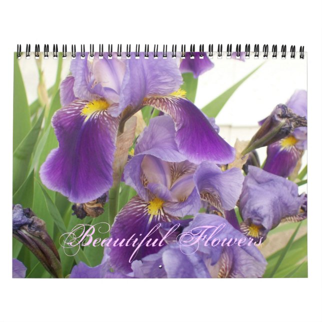 Beautiful Flowers Calendar (Cover)