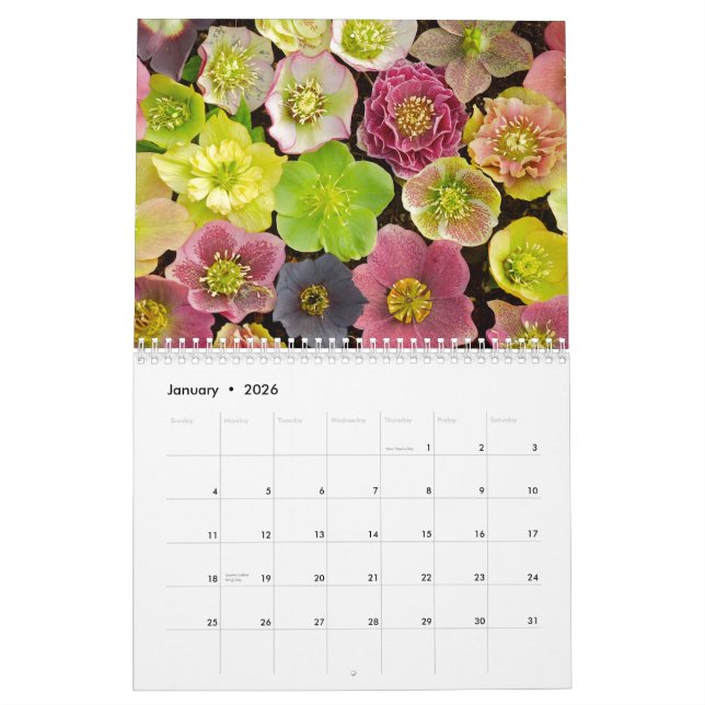 Beautiful Flowers calendar 2013 (Jan 2026)