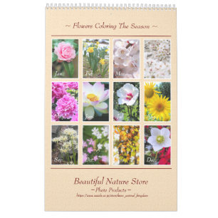 Beautiful Flowers Calendar Best: Type-A カレンダー