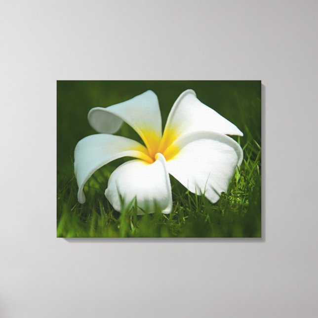 Beautiful Flowers Close-Up - Wrapped Canvas (Front)