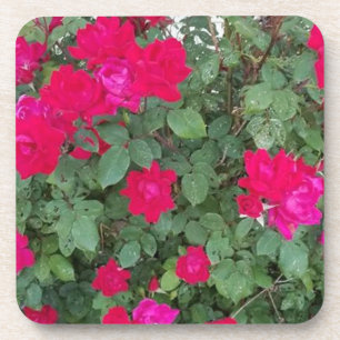 Beautiful Flowers Coaster