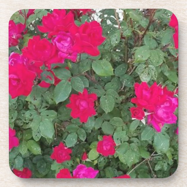Beautiful Flowers Coaster (Front)