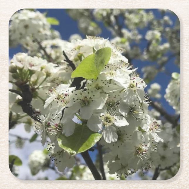 Beautiful Flowers Coaster Set (Front)