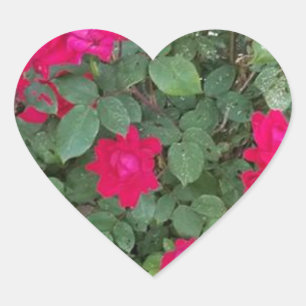 Beautiful Flowers Heart Sticker