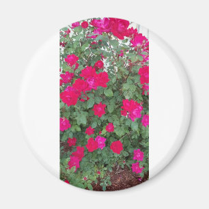 Beautiful Flowers Magnet