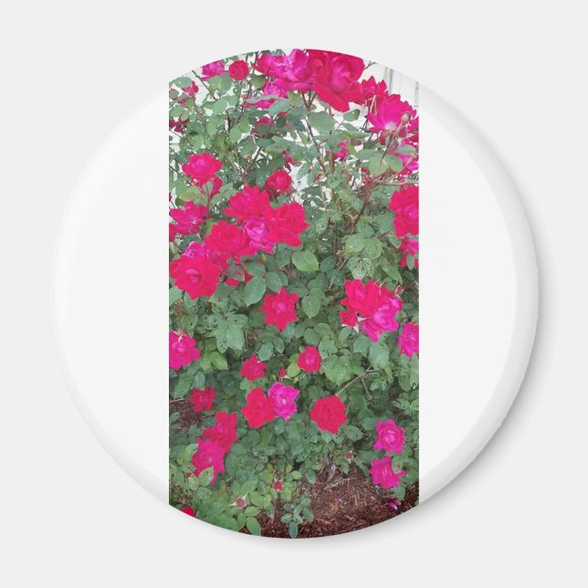 Beautiful Flowers Magnet (Front)