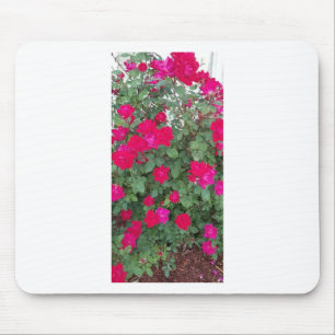 Beautiful Flowers Mouse Mat