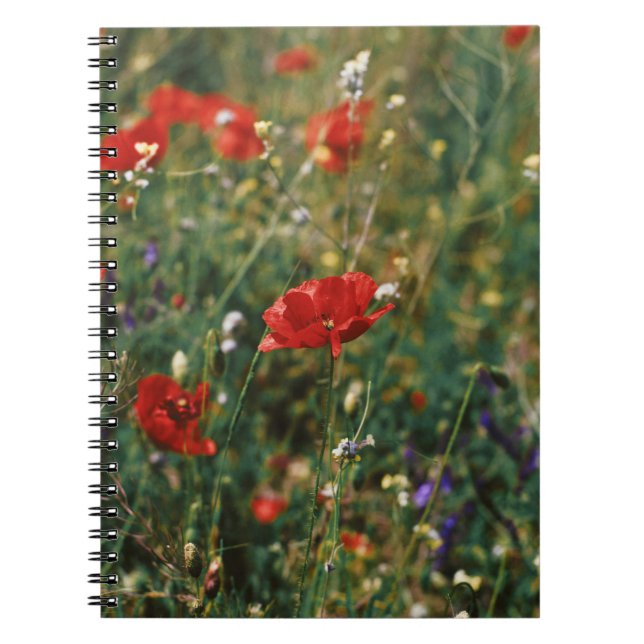 BEAUTIFUL FLOWERS NOTEBOOK (Front)