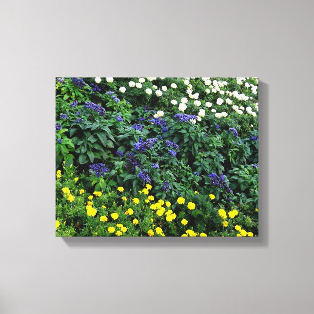 Beautiful Flowers Photo  Single Canvas (Front)