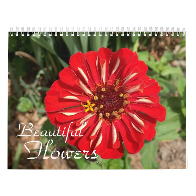 Beautiful Flowers Photography Calendar (Cover)
