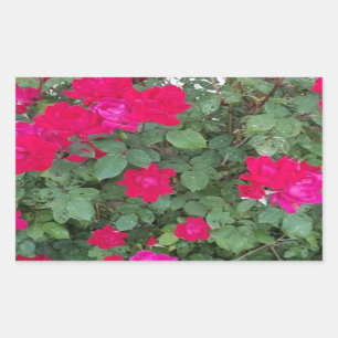 Beautiful Flowers Rectangular Sticker