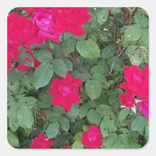Beautiful Flowers Square Sticker