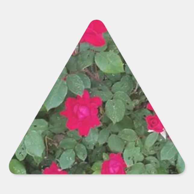Beautiful Flowers Triangle Sticker (Front)