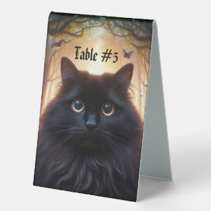 Beautiful Fluffy Black Cat with Gold Eyes Number
