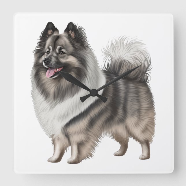 BEAUTIFUL FLUFFY KEESHOND DOG SQUARE WALL CLOCK (Front)