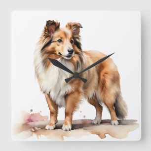 BEAUTIFUL FLUFFY SHETLAND SHEEPDOG DOG SQUARE WALL CLOCK
