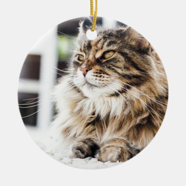 Beautiful fluffy tabby Siberian Persian cat design Ceramic Tree Decoration (Front)