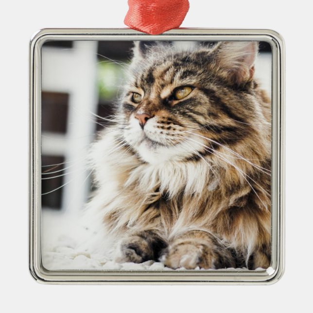 Beautiful fluffy tabby Siberian Persian cat design Metal Tree Decoration (Front)