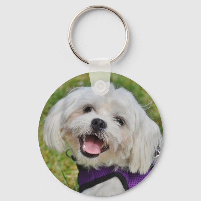 Beautiful Fluffy White Maltese Puppy Dog Key Ring (Front)