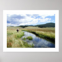 Beautiful Fly Fishing