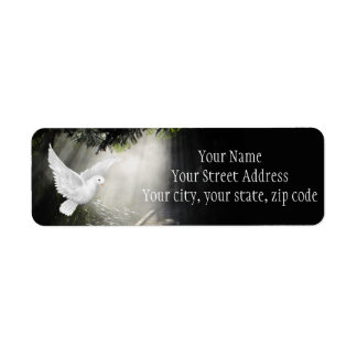 Beautiful flying dove in sunbeam