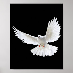 Beautiful Flying Peaceful White Dove Photo Silhoue Poster