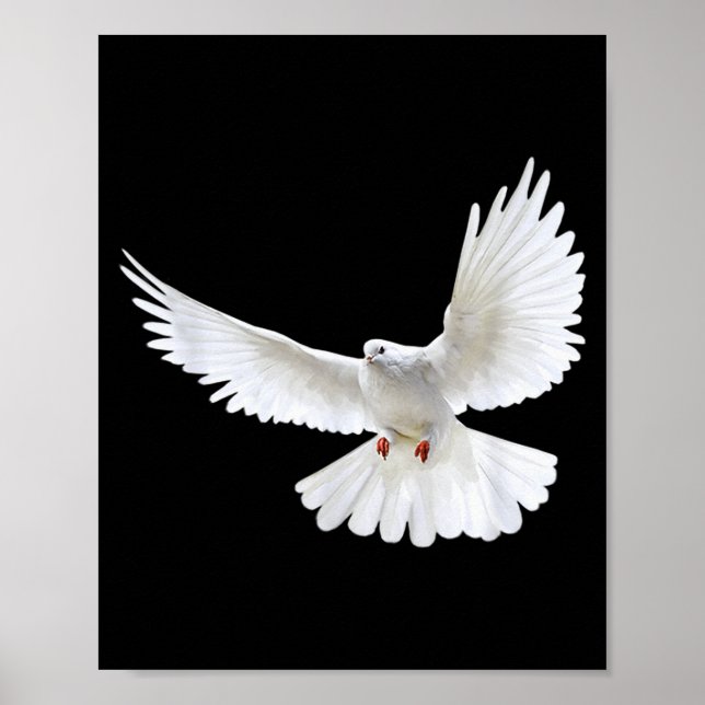 Beautiful Flying Peaceful White Dove Photo Silhoue Poster (Front)
