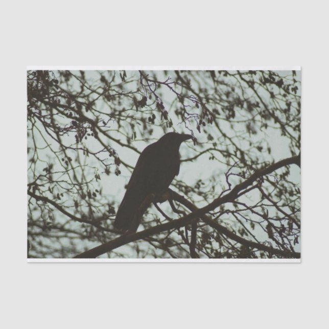 Beautiful foliage leaves Cow Tissue Paper (Front)