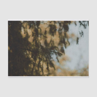 Beautiful foliage leaves Tissue Paper