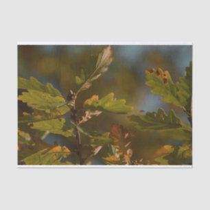 Beautiful foliage leaves Tissue Paper