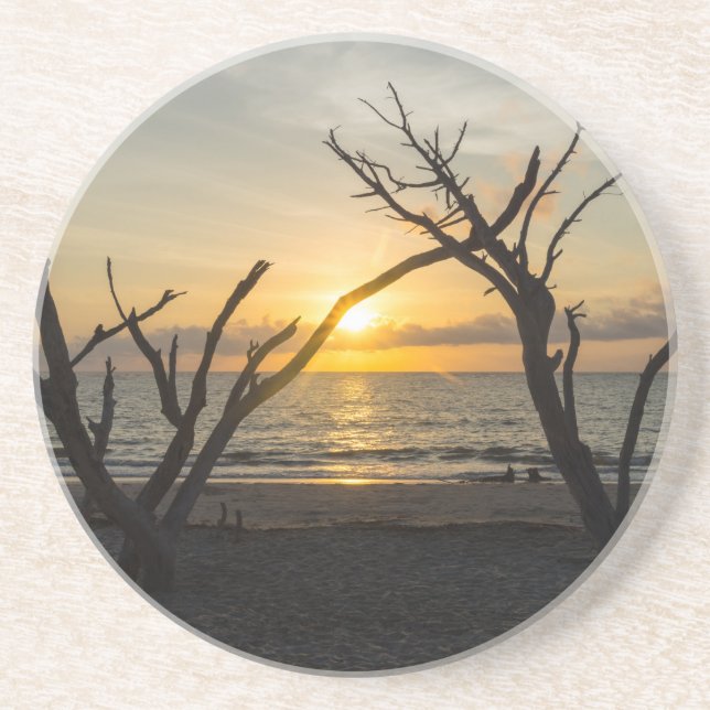 Beautiful Folly Morning Coaster (Front)