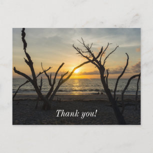 Beautiful Folly Morning Postcard