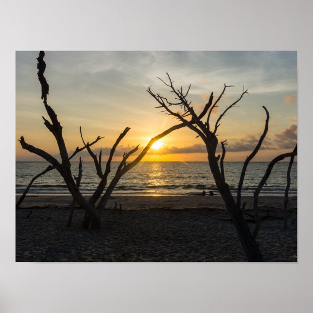 Beautiful Folly Morning Poster (Front)