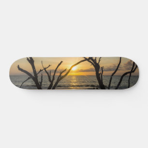 Beautiful Folly Morning Skateboard