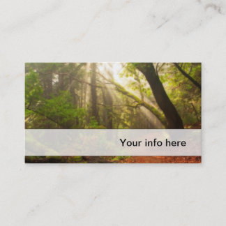 Beautiful forest business card